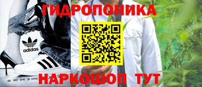 PSILOCYBIN Ипатово