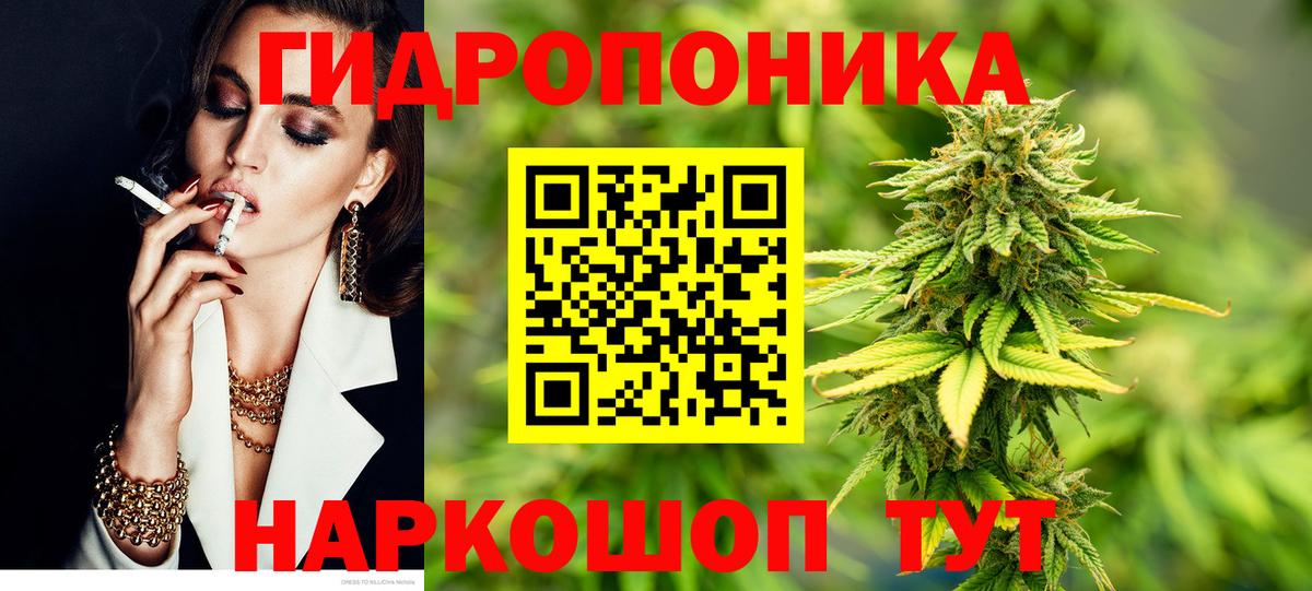 Ленинск-Кузнецкий  Конопля семена  Вход с VPN  Бошки марихуана план 